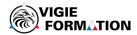Vigie Formation Sticky Logo Retina